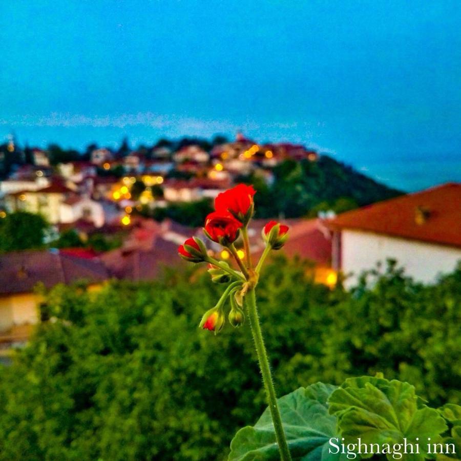 Sighnaghi Inn Εξωτερικό φωτογραφία
